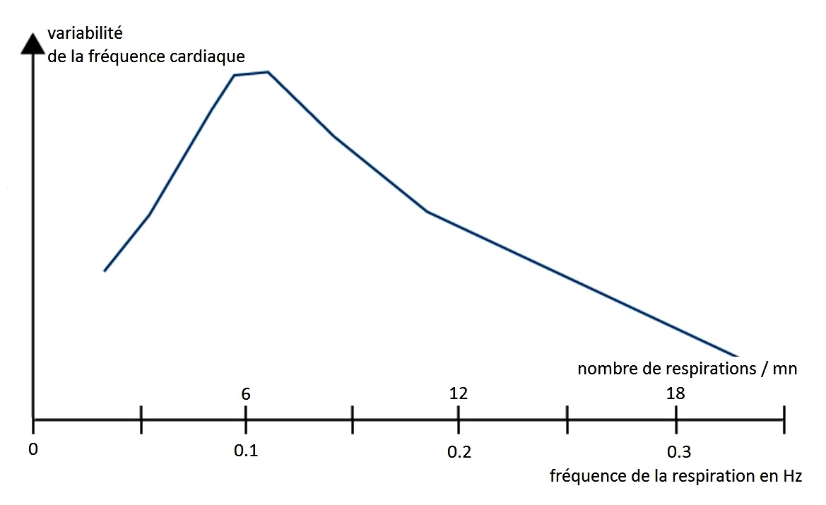 Courbe de variabilité cardiaque en fonction du rythme respiratoire